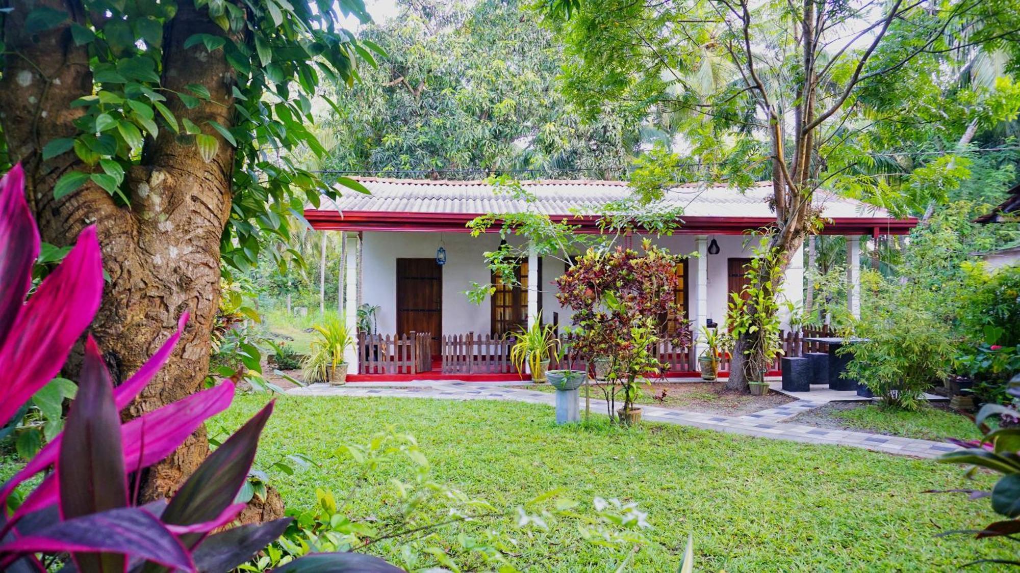 Lake Island Home Stay Dambulla Εξωτερικό φωτογραφία